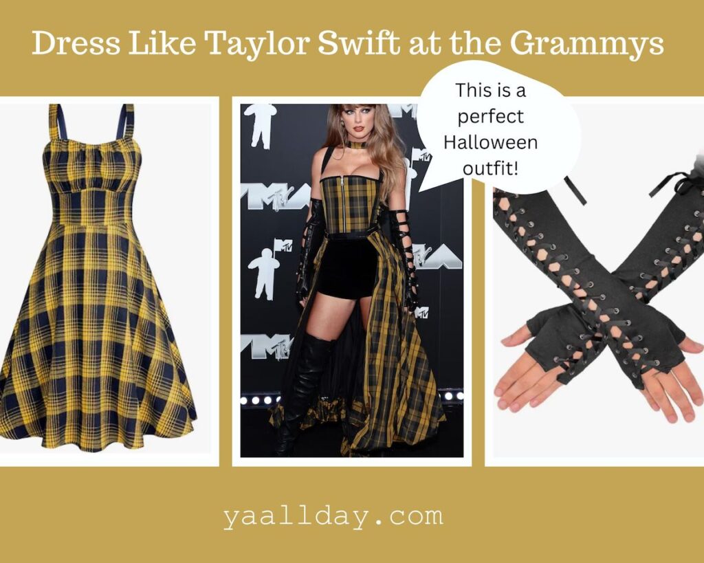 Taylor Swift Outfits: How to recreate Taylor's 2024 Grammy outfit. Photo of Taylor in a plaid bustier