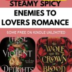 Most Beloved Enemies to Lovers Romances + Quiz!